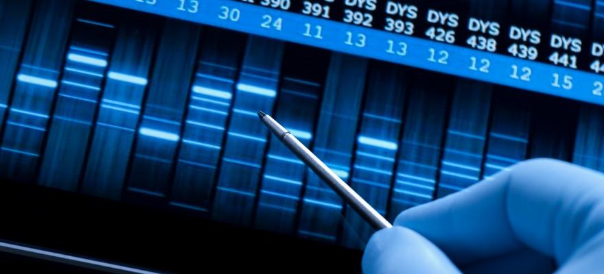 What does exclude mean on a paternity test